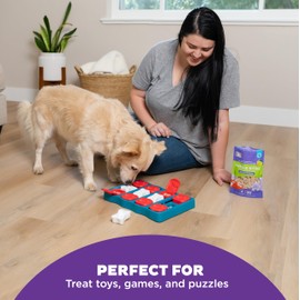 Outward Hound Outward Hound by Nina Ottosson Puzzle Bitez Training Treats for Dogs, Apple Bacon Flavor, Soft Small Low Calorie Dog Treats