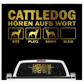 siviwonder Australian Cattle Dog ACD Italiano Hört auf s Wort Hunde Car Sticker Dog Foil Colour Metallic Gold Size 20 cm