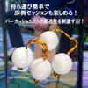 clowin Asarat Pachica Maracas Musical Instrument Practice Percussion Accessory Ethnic