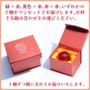 ZERONOWA Crystal Apple Paperweight Figurine Feng Shui Miscellaneous Goods Interior