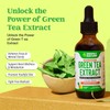 Unbranded Green Tea Extract - 2500Mg - 50% EGCG -