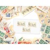 ONLYKXY Clear Plastic Dollar Bill Top-Load Display Protector Holder Sleeves