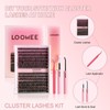 LOOMEE DIY Lash Extension Kit – 280 Mixed Clusters (30D/40D