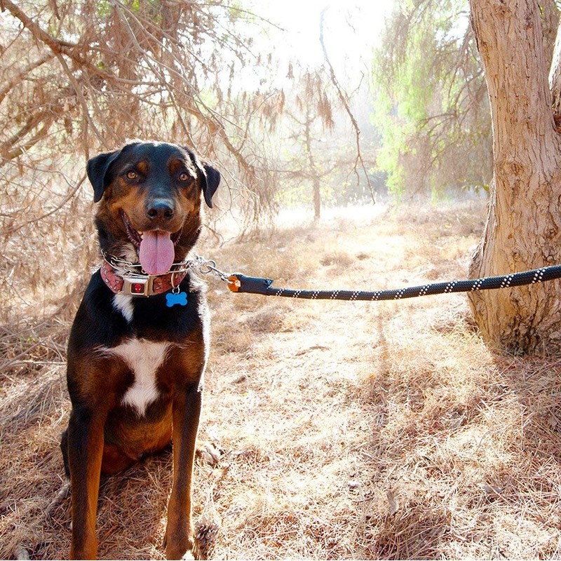 ZippyPaws Climbers Rope Heavy Duty Dog Leash - Thick Leashes