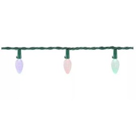 Home Accents Color Changing 100 Warm White to Multi Colored C6 LED Lights New
