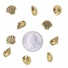 Seashell Pushpins - Gold Finish