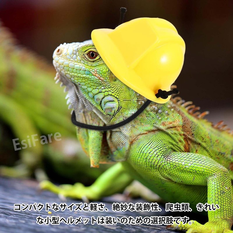 EsiFare Lizard Helmet, Lizard Hat, Mini Construction Hat, Miniature Hat,