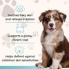 Pawlife Wild Alaskan Salmon Oil for Dogs and Cats -