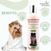 4PAWSRAW Natural Adult Dog Shampoo – Thyme with Silk Protein