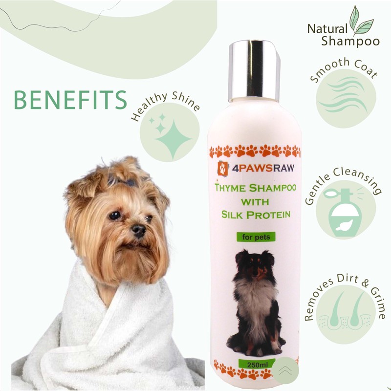 4PAWSRAW Natural Adult Dog Shampoo – Thyme with Silk Protein