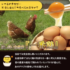 Suigo no Toriya-san Flat Koden Eggs, Free-range Natural Eggs, Fertilized Eggs, Pack of 5 (+1 Breakage Guaranteed)