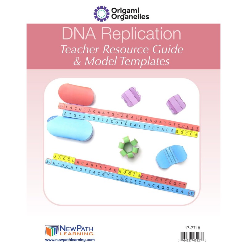 NewPath DNA Replication 3-D Model Making Kit - Individual Student