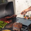 Traeger Grills BAC792 Stainless Steel BBQ Pig Tail Food Flipper