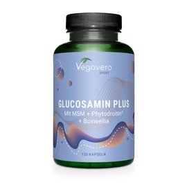 Glucosamine Chondroitin High Dose & Vegan | 1000 mg Glucosamine | With MSM | Laboratory Tested & Vegan | No Additives | German Production by Vegavero