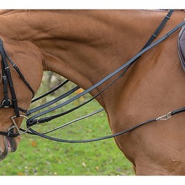SHIRE'S EQUESTRIAN Shires Avignon Leather Draw Reins