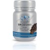 Deep Blue Health New Zealand SEA Cucumber 90 Capsules