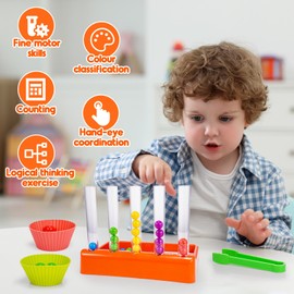 dashfor Montessori Sensory Toy Age 1-6, Counting and Colour Sorting Toy for Toddler Games, Counting Toy for Toddlers, Educational Toy for 2 3 4 5 Years Old Boys Girls