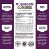 BioSchwartz Mushroom Gummies for Adults - 10-in-1 Functional Mushroom Supplement