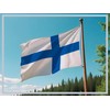 PHENO FLAGS Finland Flag - Finland Flag 90 x 150