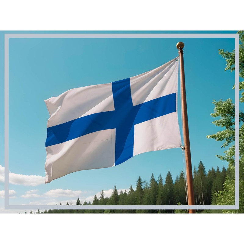 PHENO FLAGS Finland Flag - Finland Flag 90 x 150