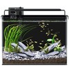 5 Gallon Fish Tank Aquarium Kit with Filter, LED Light