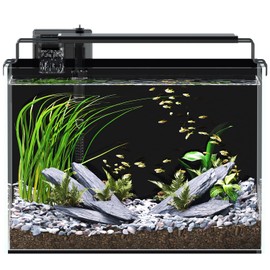 5 Gallon Fish Tank Aquarium Kit with Filter, LED Light with Timer, Siphon Vacuum Cleaner, Lid, Self-Cleaning Glass Rimless Betta Tank