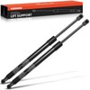 A-Premium Tailgate Lift Supports Shock Struts Spring Prop Compatible with