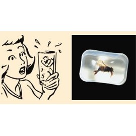 Bar Bug in Ice Cube -gag gift