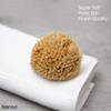 Naroa Natural Baby Sponge | Soft Sea Wool Unbleached Bath