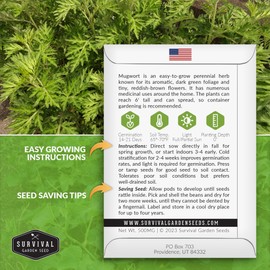 Common Mugwort Seed for Planting - 1 Packet with Instructions to Plant and Grow Artemisia Vulgaris in Your Home Vegetable Garden - Non-GMO Heirloom Variety - Survival Garden Seeds