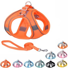 Harness Small Sized Dog, No-Pull Puppy Vest with Leash Set, Breathable Mesh Reflective Pet Harnesses for Outdoor Walking for XXS Xs Small Medium Breed Dogs Cats, Orange M