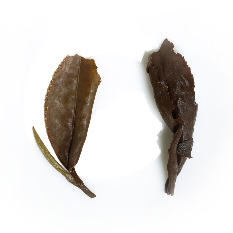 GOARTEA White Tea 100g / 3.5oz Fuding Supreme Gongmei Tribute
