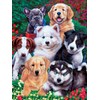 MasterPieces 300 Piece EZ Grip Jigsaw Puzzle - Fluffy Fuzzballs