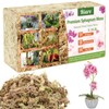 Riare 1.1 LBS Premium Sphagnum Moss- Natural Long Fibered Sphagnum