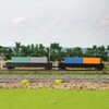 C15007 9pcs Model Train N Scale 1:160 6.1m Blank Shipping