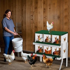 Chicken Nesting Box, 6 Compartment Metal Chicken Nesting Boxes for Chicken Coop, Easy Egg Collection, Easy Cleaning, Chicken Laying Boxes with Bracket Legs for Hens, Green