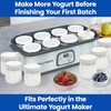 Ultimate Yogurt Jars - Make More Delicious Yogurt! 8 Count