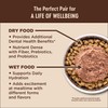 Wellness CORE+ Digestive Health Grain-Free Natural Wet Cat Food, Sensitive