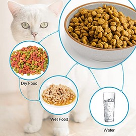 Howise - Cuencos de cerámica para gatos, plato de comida para gatos, color gris, 5.3 pulgadas, paquete de 3 cuencos para gatito y tazón de agua para perros pequeños