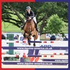 Equine America Airways Xtra Strength Premium Ready To Use Horse