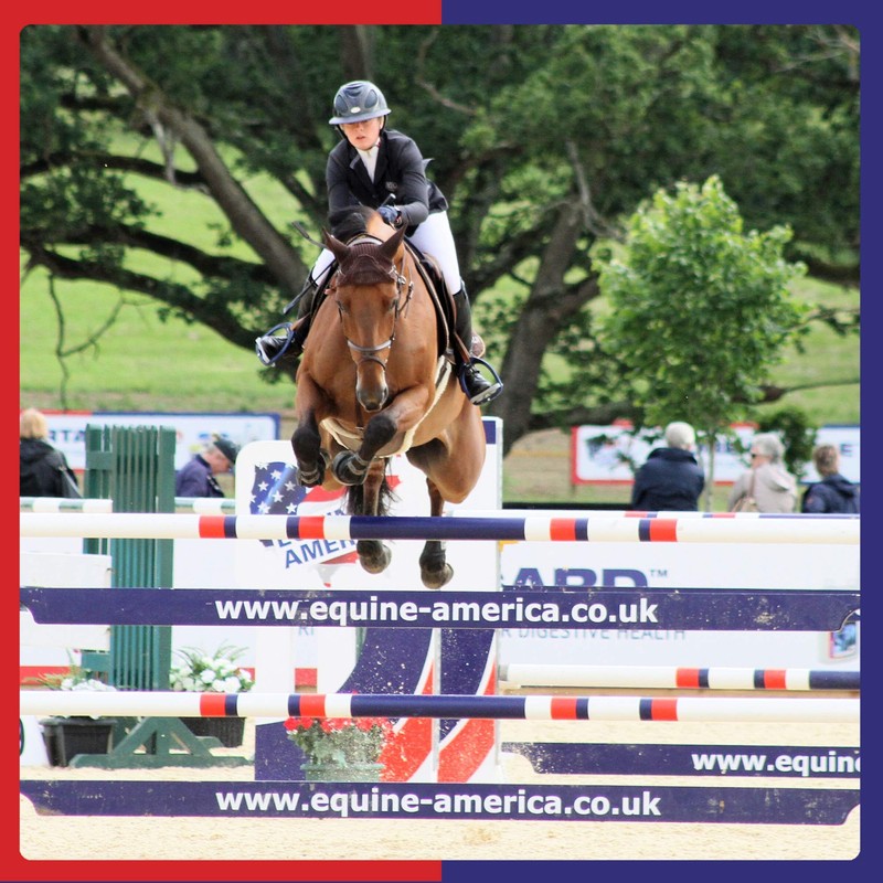 Equine America Airways Xtra Strength Premium Ready To Use Horse