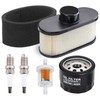 Emmawin FR691V Tune Up Kit for Kawasaki FR651V FR730V FS481V
