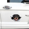 Rottweiler 3D Breakthrough Effect, Waterproof, Reflective, Funny Sticker for Laptop,