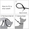Slip-Lead Dog-Leash Medium-Training Rope - 6ft Foot Big Large Reflective