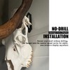 VMSIXVM European Mount Skull Hanger, Euro Mount Wall Hanger for