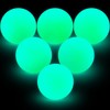 Deekin 8" Street Hockey Balls Glow in The Dark Ball