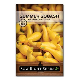 Sow Right Seeds - Golden Summer Crookneck Squash Seeds for Planting - Non-GMO Heirloom Packet with Instructions to Grow an Outdoor Home Vegetable Garden - Prolific Yellow Summer Squash, Rare Shape (1)