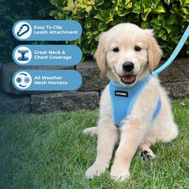 Voyager Step-In Air Dog Harness - All Weather Mesh, Reflective, No Pull Harness for Small, Medium Dogs, Cats - Secure with Hook & Loop Fastener, Buckle, Double D-Rings - Baby Blue, XXS