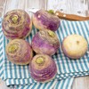 Eden Brothers Rutabaga Seeds - American Purple Top