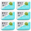 Dentist Recommended MYNTZ! Brand Mints - Wintermynt Blast Flavor 6
